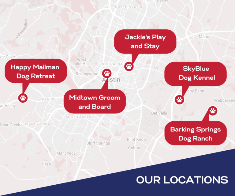 Austin Dog Kennels Dog Boarding and Doggy Daycare in ATX