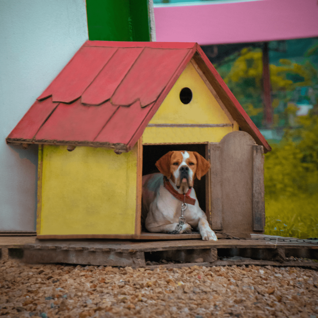 a dog has a home kennel and is not proportionate to his or her size.